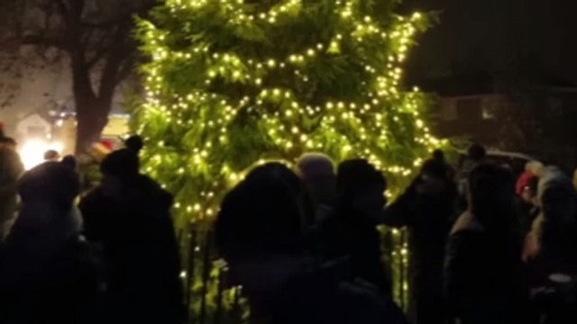 Anita Dobson turns on Elstead's Christmas lights