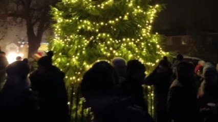 Anita Dobson turns on Elstead's Christmas lights