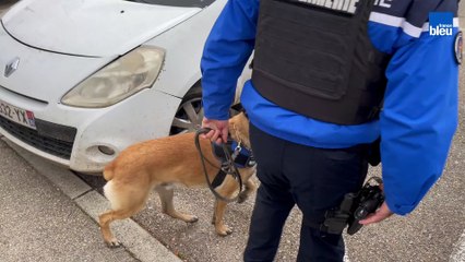 Contrôle Rodilhan (Gard)