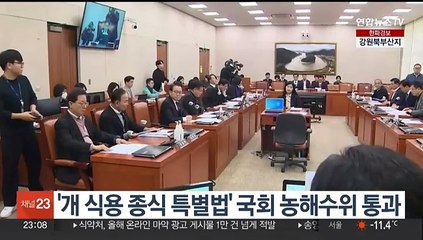 '개 식용 종식 특별법' 국회 농해수위 통과