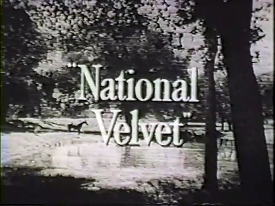 Canary  NV