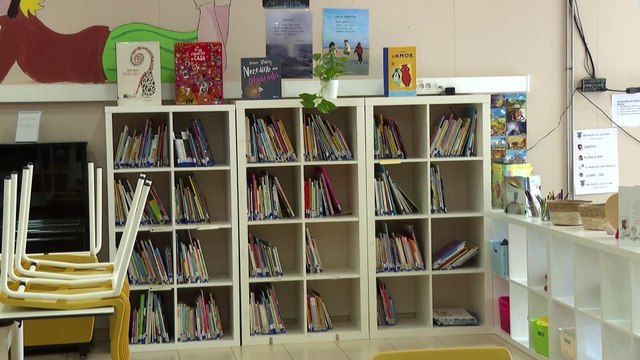 La delegación del Parlamento Europeo cuestiona que la inmersión lingüística funcione