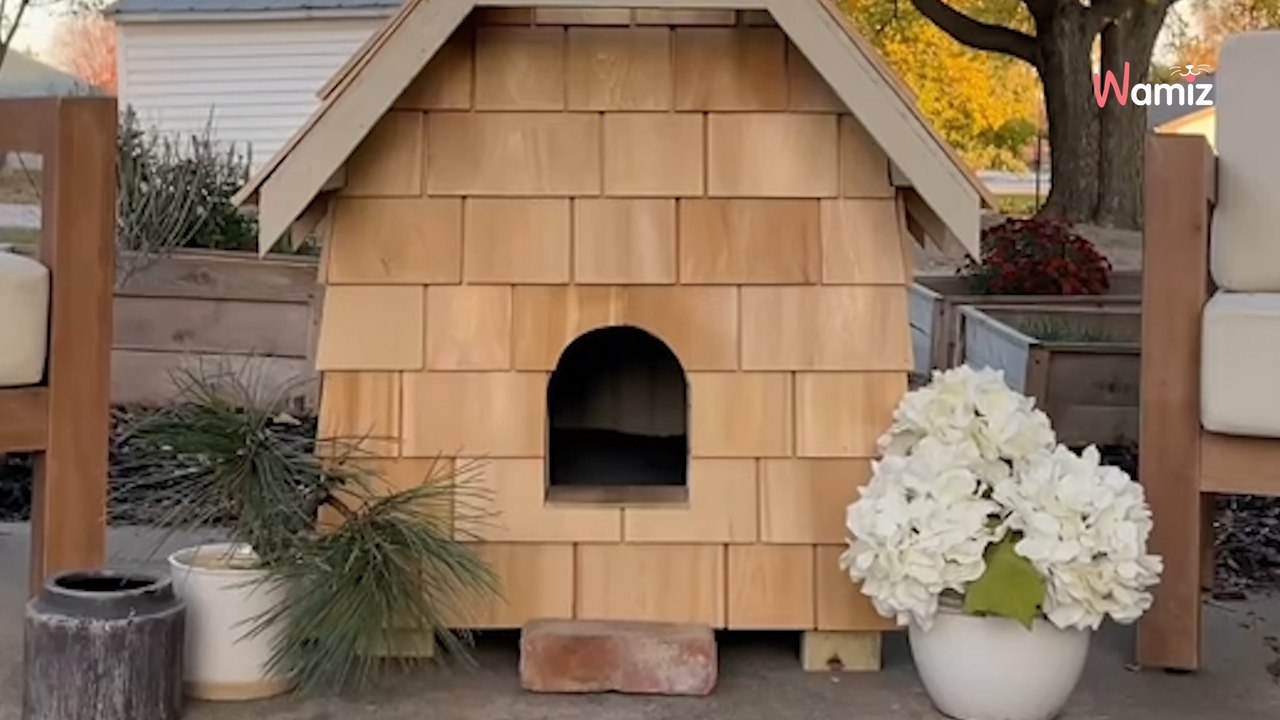 Due architetti hanno un'idea geniale per aiutare un gatto randagio a stare al caldo in inverno (Video)
