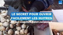 Comment ouvrir facilement les huitres et les coquilles Saint-Jacques ?