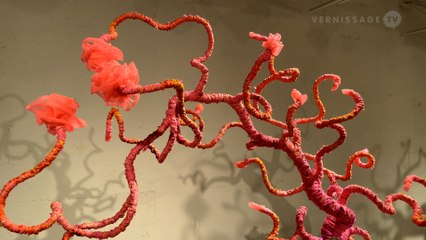 Guerra de la Paz: Transcendental / Transmutation. Bridge Red Studios, North Miami