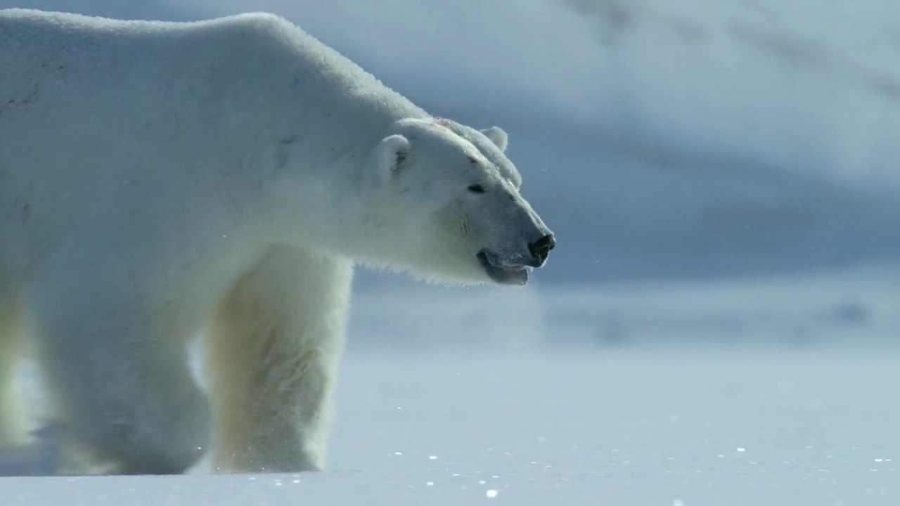 Promo for Documentary Channel