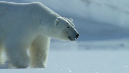 Exclusive Dubstep Glitch Video Editing Promo 🎥