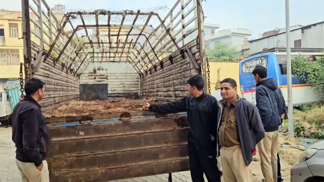 तस्करी का प्रयास विफल, केंटर से 27 गौवंश मुक्त कराए