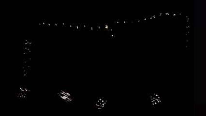 Horse joins Christmas festivity with Christmas Lights *Wholesome*