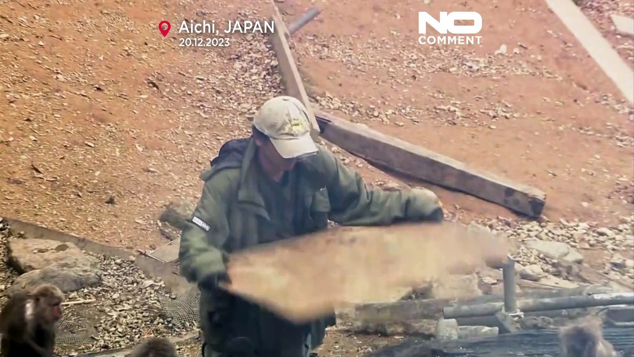 NO COMMENT : des macaques japonais Yaku se rassemblent autour d’un feu de camp pour célébrer l'hiver