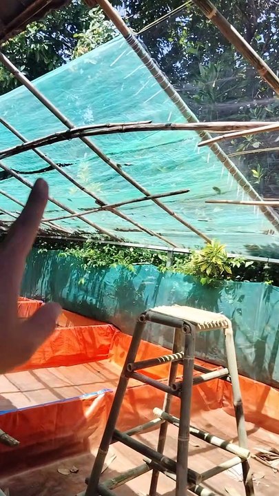 Berbenah kolam demi kenyamanan
