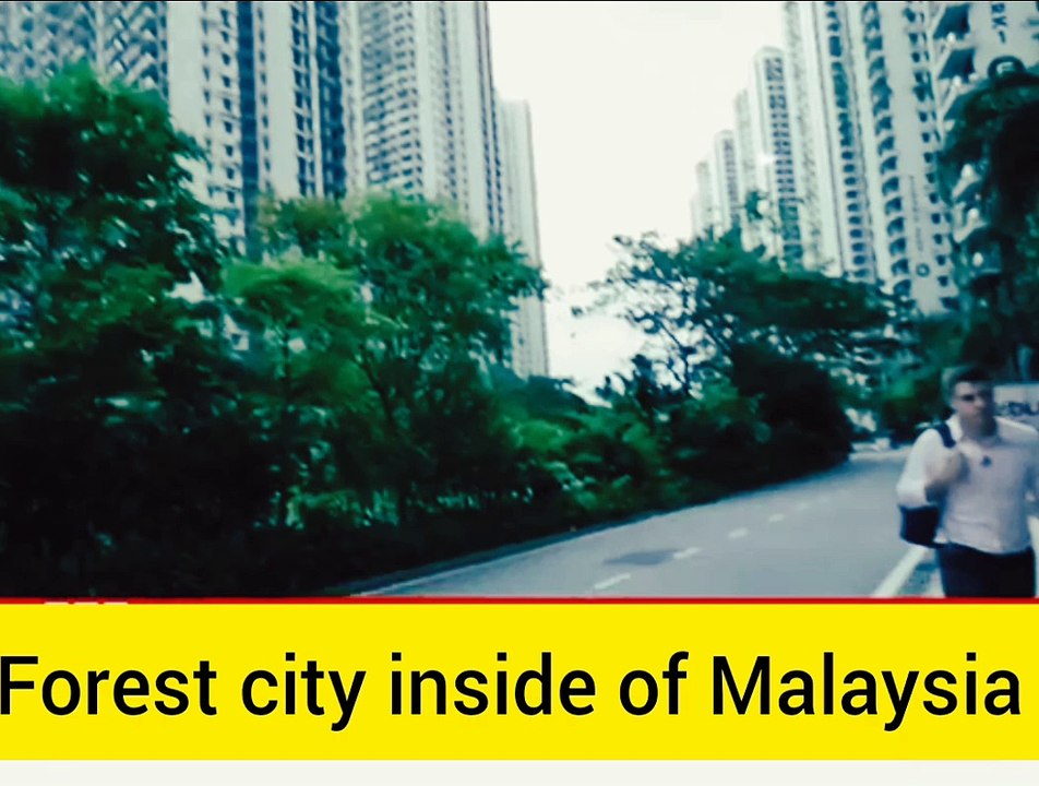 Forest city inside of Malaysia