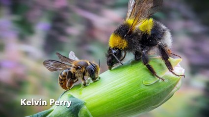 Ten stunning photos of Alton and surrounding area by Alton Camera Club