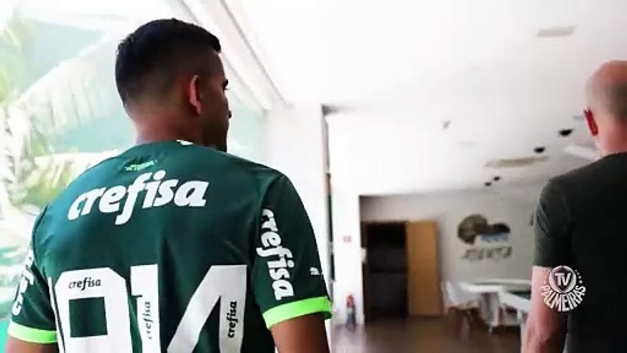 Bruno Rodrigues