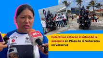 Colectivos colocan el árbol de la ausencia en Plaza de la Soberanía en Veracruz