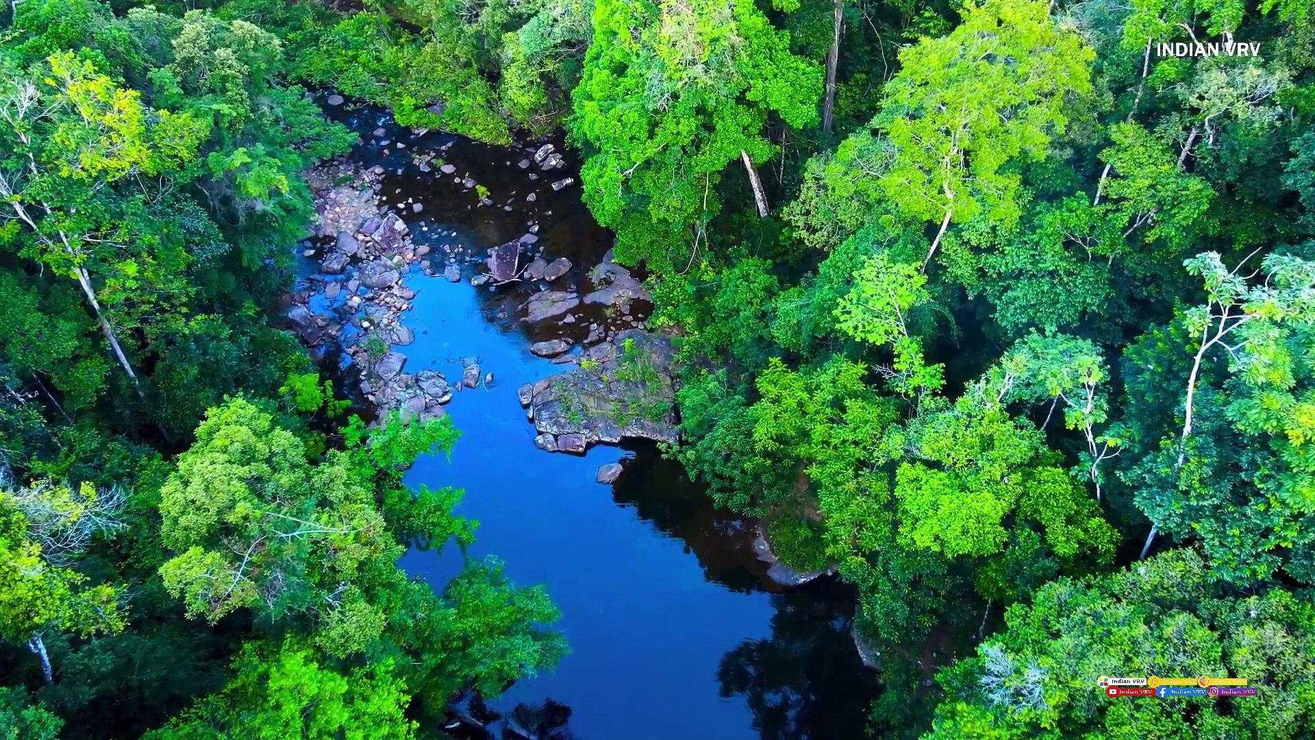 AMAZON WALLPAPER FULL HD RAINFOREST \u0026 WILDLIFE in 4K HDR - video Dailymotion, image size:1920x1080