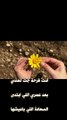 #shorts   شيرين-انا كلي ملكك 3- فيديو كليب #love