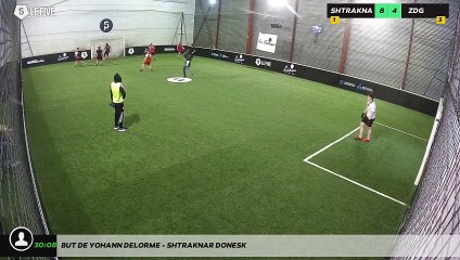 But de Yohann DELORME - SHTRAKNAR DONESK