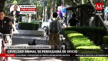 Aumenta pena por maltrato animal en Quintana Roo