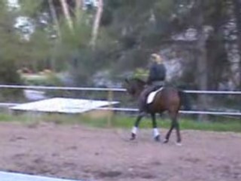 20080327183533