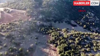 Altınyayla'da Çalınan Hayvanlar Yakalandı