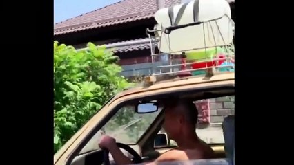 bad drivers & They can still drive on the road