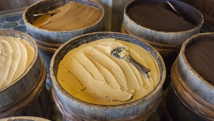 The Underrated Fermented Food You Should Be Eating More Of, According to a Gastroenterologist