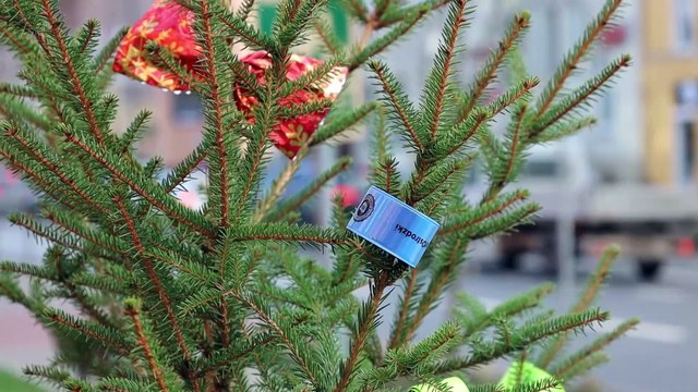 Świąteczna choinka Policji: Bezpieczeństwo na pierwszym planie