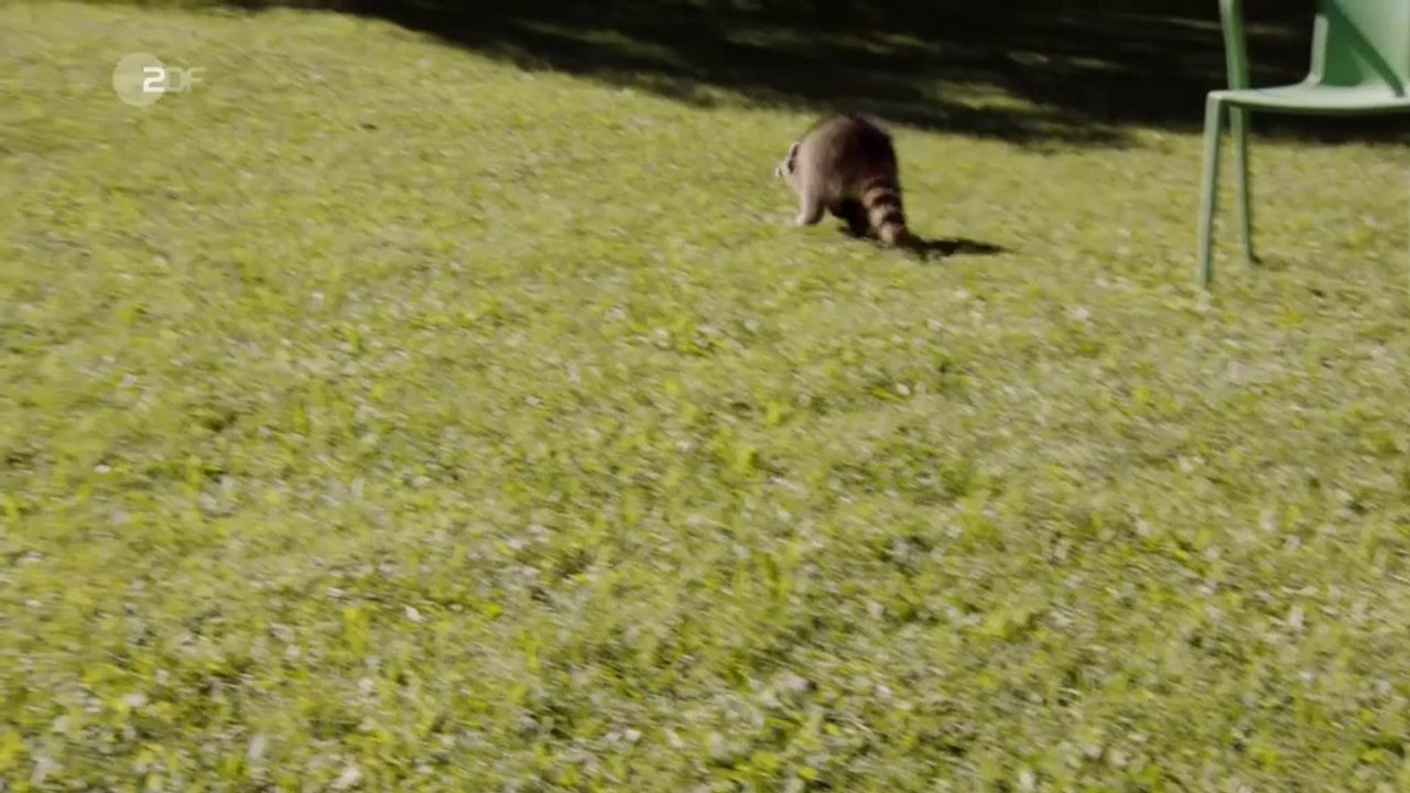 Frühling -21- Das verlorene Mädchen