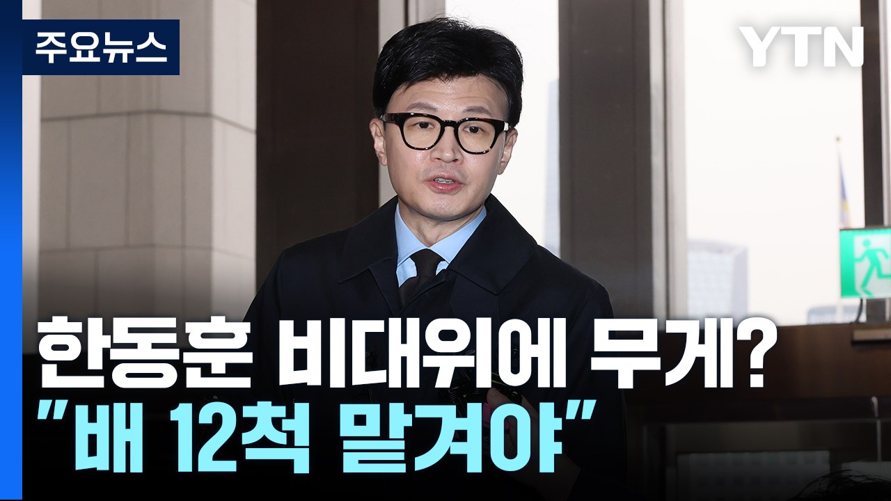"한동훈은 이순신...배 12척 맡겨야" / 민주당이 '테스형'을 찾은 이유? [띵동...