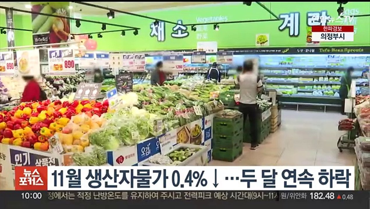 11월 생산자물가 0.4%↓…두달 연속 하락