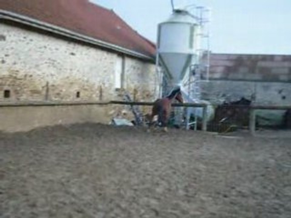 Débilos en carrière