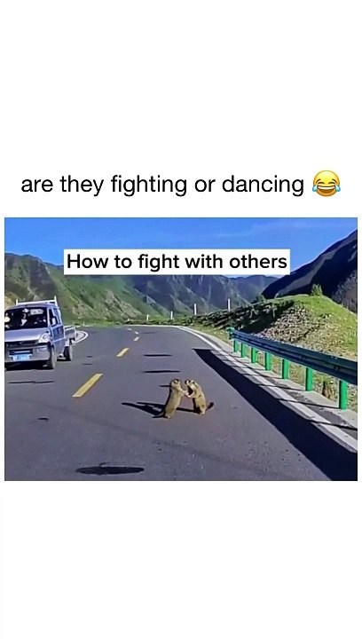 looks adorable 