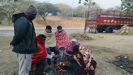 Weather: शेखावाटी में ठंड जारी, दो दिन में बदलेगा मौसम