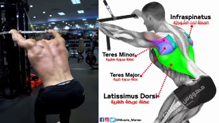 These are the 7 Biggest Back Exercises You Need to Know