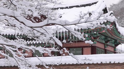 [영상] "한파·폭설에 춥긴 한데 이건 괜찮네"...드론으로 바라본 내장산 설경 / YTN