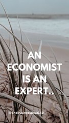 An economist is an expert...