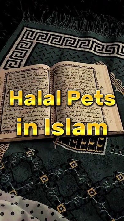 Halal Pets in Islam