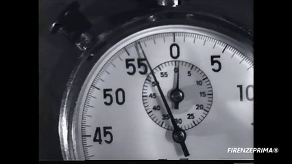 Fiat 1100 ELR Pick-Up - Cassone