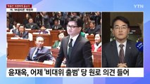 [뉴스큐] '한동훈 비대위' 대항할 민주당의 과제는? / YTN