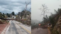 Marmaris’te fırtına ağaç ve elektrik direklerini devirdi