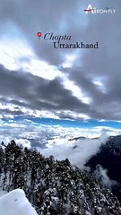 Chopta, where every step is a journey and every view is a destination. 