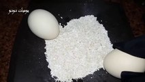 فوائد وطرق تقديم خلطة البيض بالبقسماط لطيور البادجي