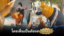 น่าร้ากกก "เจ้าเฉาก๊วย" สุดฉลาดใครเห็นเป็นต้องตกหลุมรัก