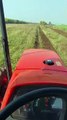 My Kubota tractor at rotavate rotavetor // Kubota tractor performance at cultivation//