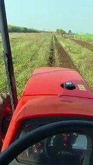 My Kubota tractor at rotavate rotavetor // Kubota tractor performance at cultivation//