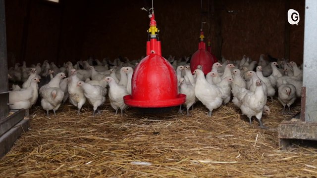 VOYONS VOIR - 21/12/23 - MA RÉGION SES TERROIRS