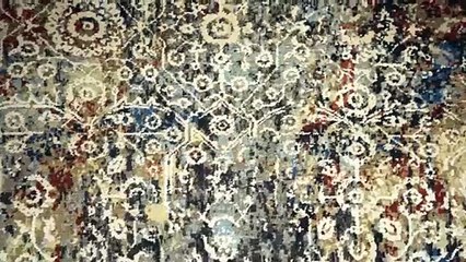 Unlock the Luxury: Cocoon Fine Rugs Mumbai Store Tour!