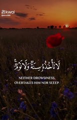 5213629626746498177_play.mp4_logo_EG