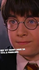 Et si Harry Potter avait tout inventé ?!